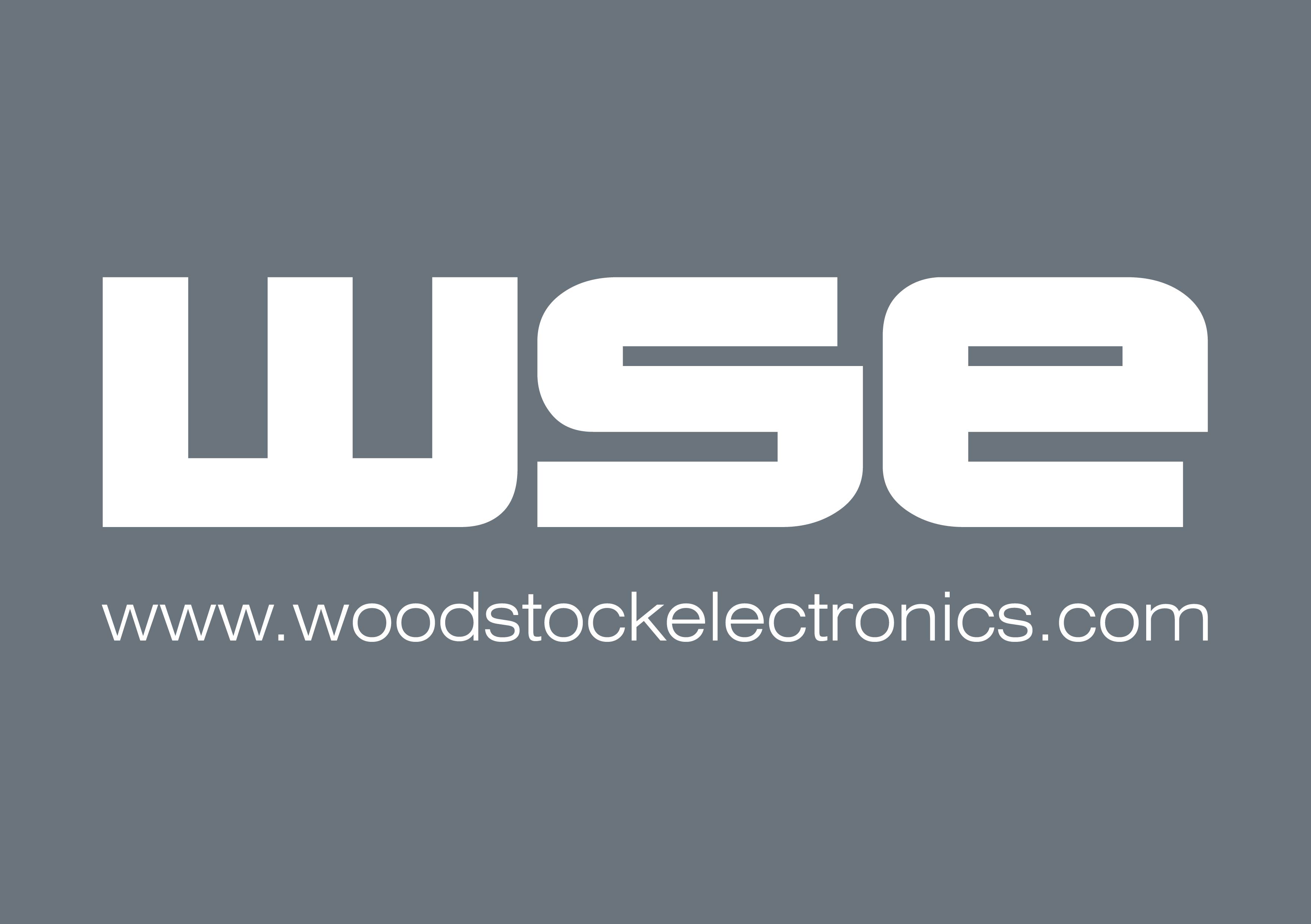 WSE Logo
